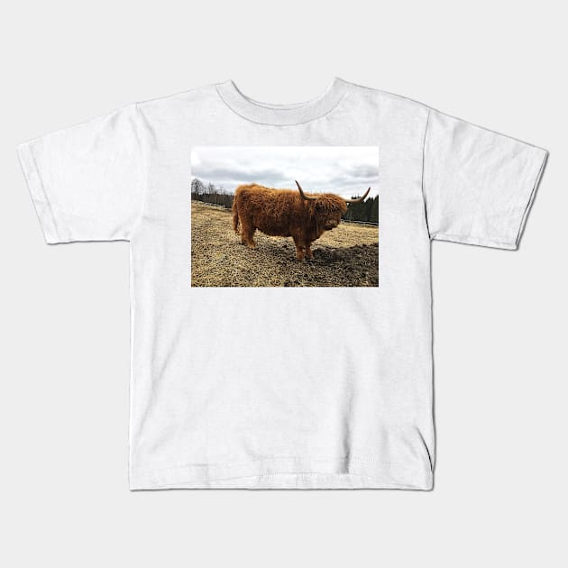 Scottish Highland Cattle Cow 2364 Kids T-Shirt by SaarelaHighland